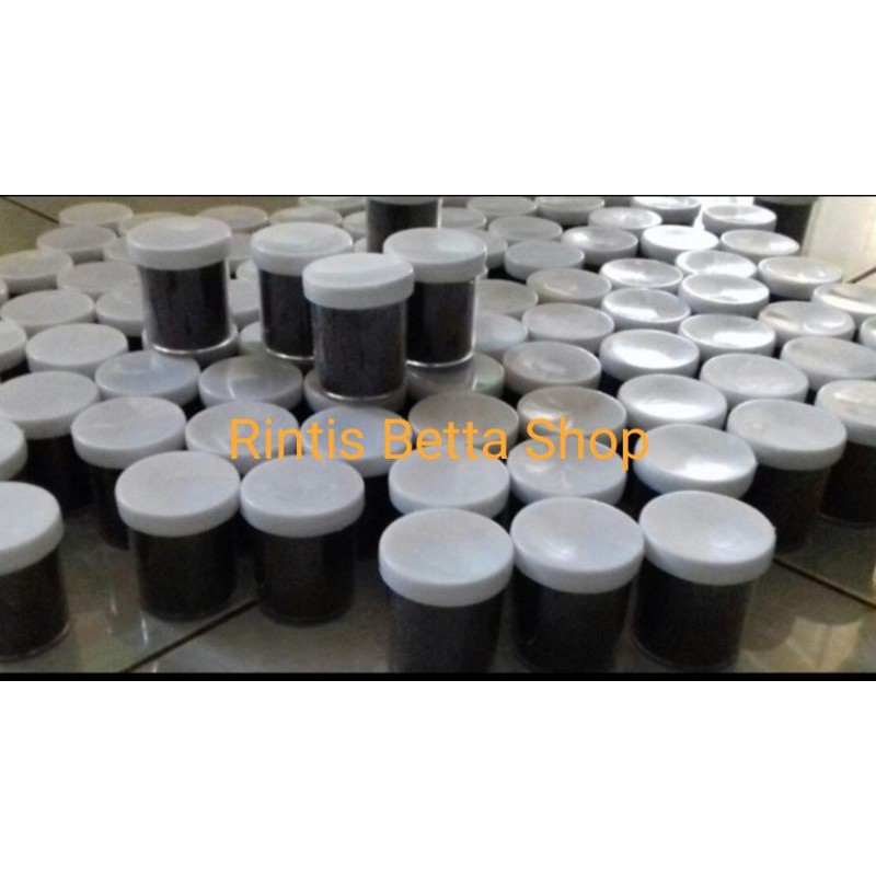 Pakan micro Cupang/percepat mutasi warna