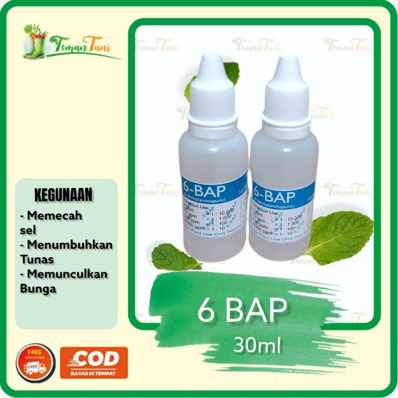 HORMON 6 BAP BUD BREAKER PUPUK PEMBUNGAAN ANGGREK