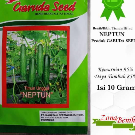 Harga Bersahabat ♚ Isi 10 Gram Bibit Timun Hijau NEPTUN | Benih Timun | Mentimun | Bibit Unggul!!