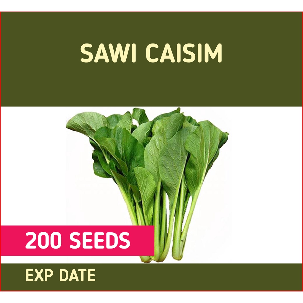 Repack Sawi Caisim Seed