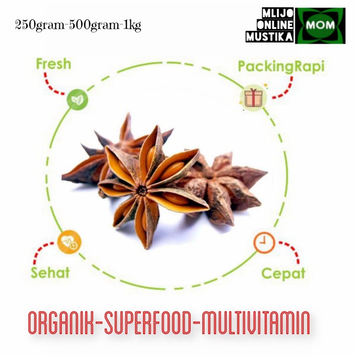 

BUNGA LAWANG 75 GRAM PEKAK SUPER SEASONING AROMATIK ALAMI PURE HERBAL
