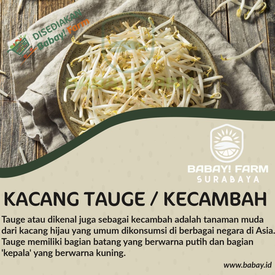 

Tauge Kecambah / Toge Cambah Pendek Rawon / Cambah Kedelai Dele