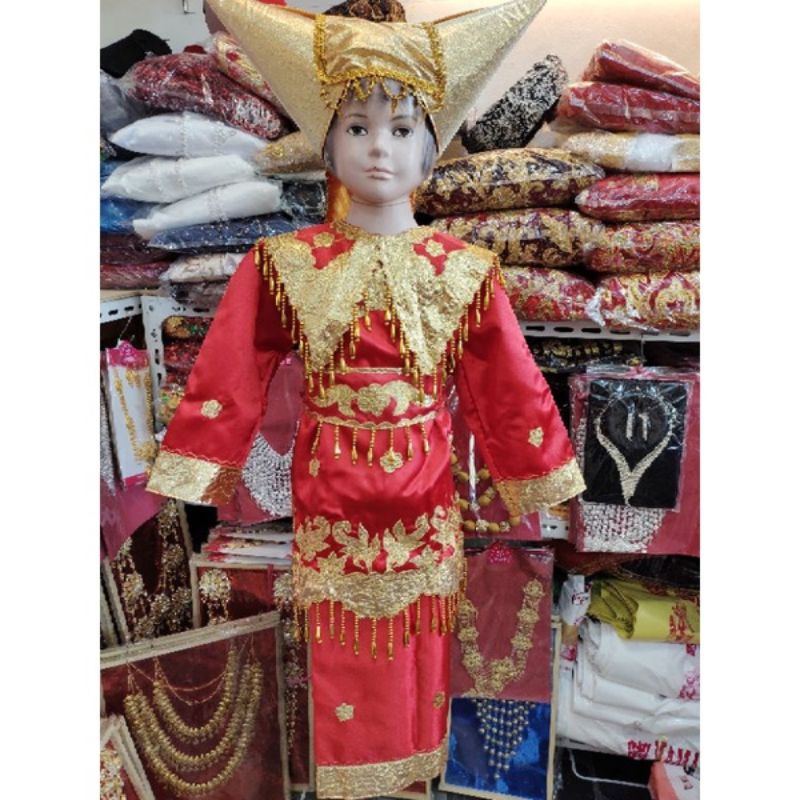 disewakan kostum karnaval anak tk / pakaian adat padang