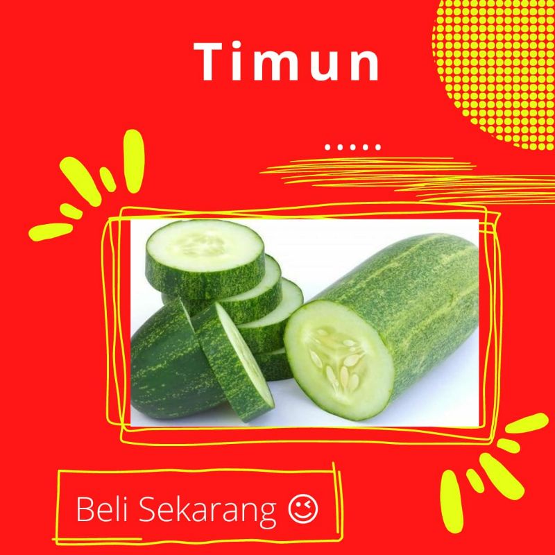 

TIMUN