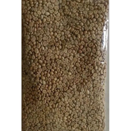

Grenbean_robusta