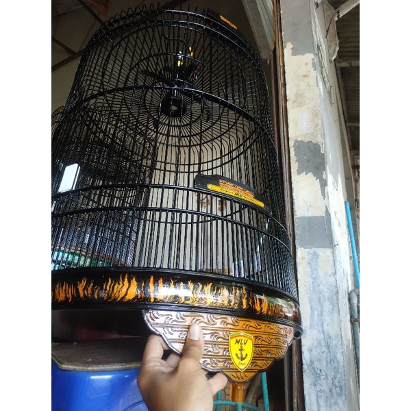 sangkar murai / kandang murai batu / sangkar kandang murai batu / murai batu / burung murai / sangka