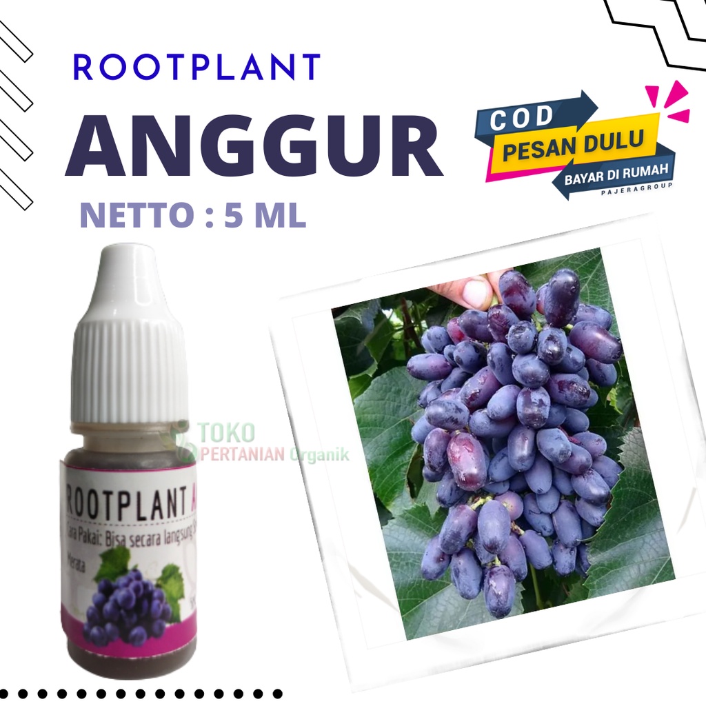 Hormon untuk pertumbuhan anggur akademik acidzba, Nutrisi pemacu buah anggur pohon Dixon