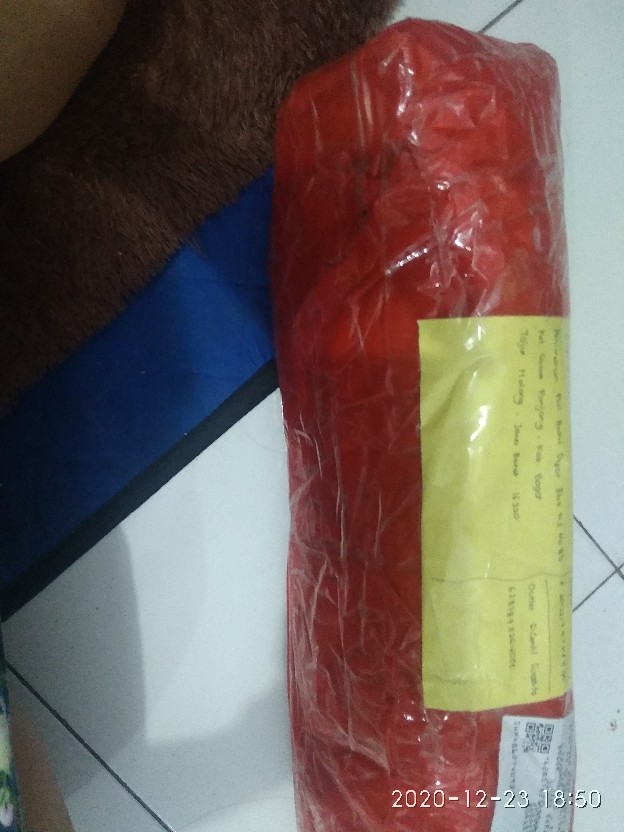 Bibit Bunga Lili Rain Putih (hrg Per 1 Umbi Tanaman)