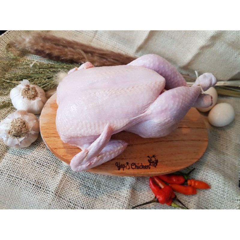 

Ayam Karkas Frozen 500gr - 600gr