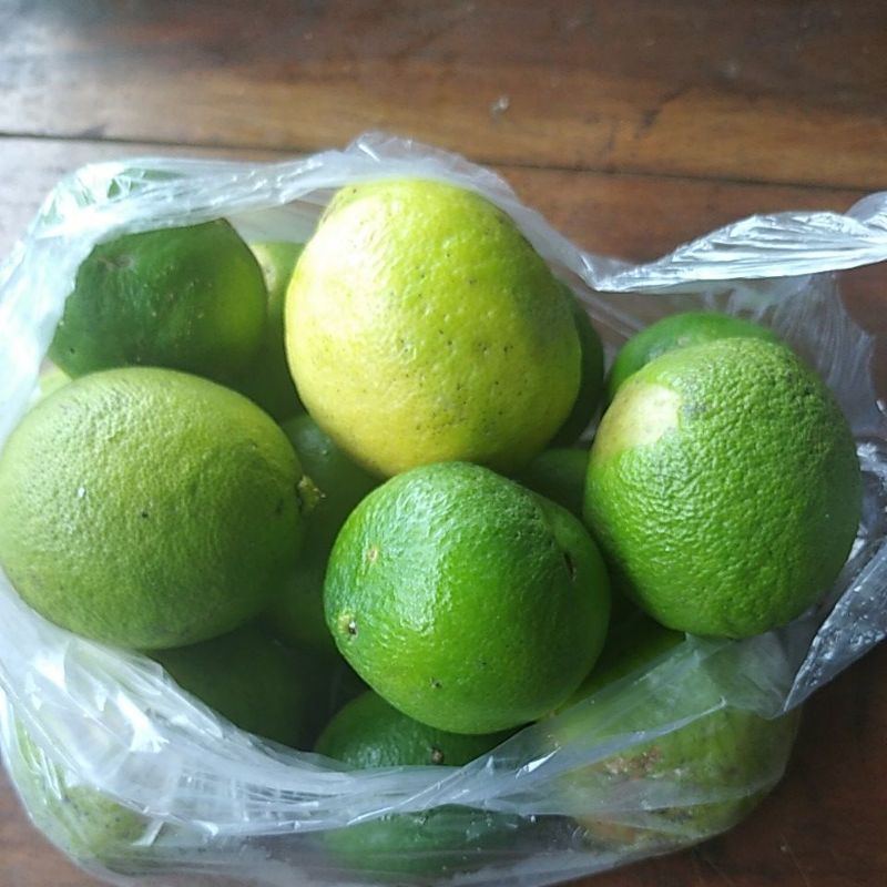 

Jeruk Nipis Lat Citrus