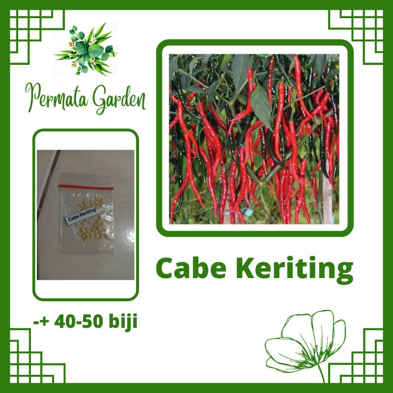 Benih Cabe Keriting / Benih Sayuran / Benih Unggul