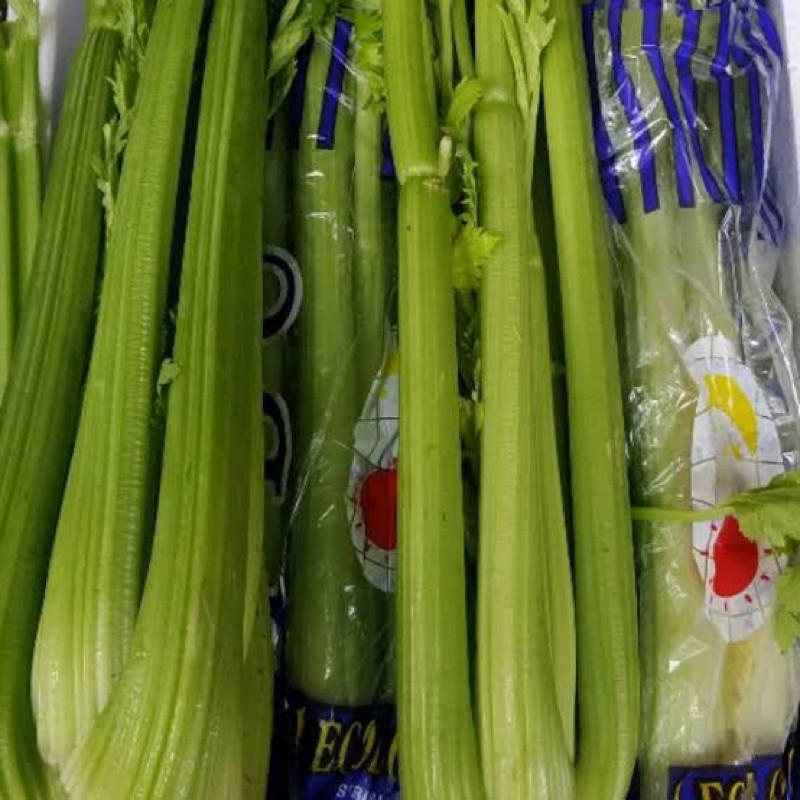 

Seledri Import / celery 1 kg