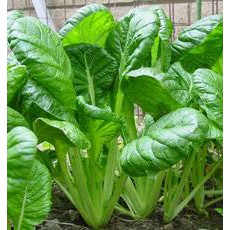 

Horenso 500 Gr