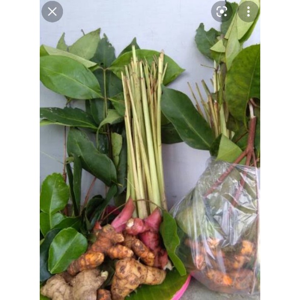 

Bumbu Dapur / Empon²