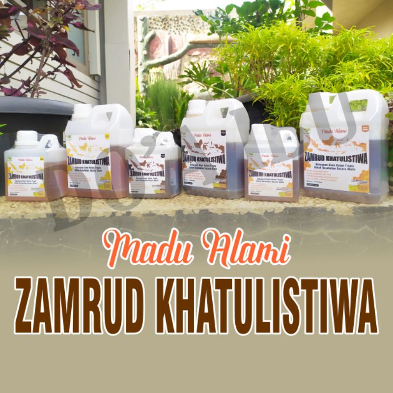 

Promo Madu Asli, Madu Murni, Madu Alami, Madu Hutan, Madu Perasan, Madu Lebah Liar, ZAMRUD KHATULISTIWA, 0,5 Kg.