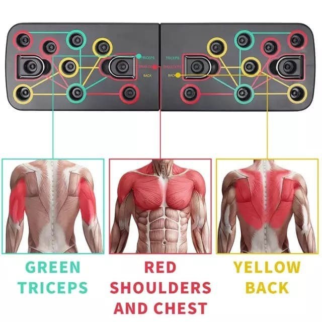 Color Coded PUSH UP Training Board like POWER PRESS - TANPA GRIPKARET