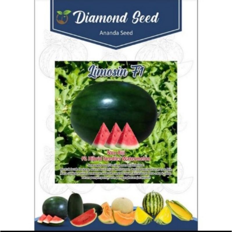 BENIH SEMANGKA LIMOSIN F1 300 BIJI OVAL