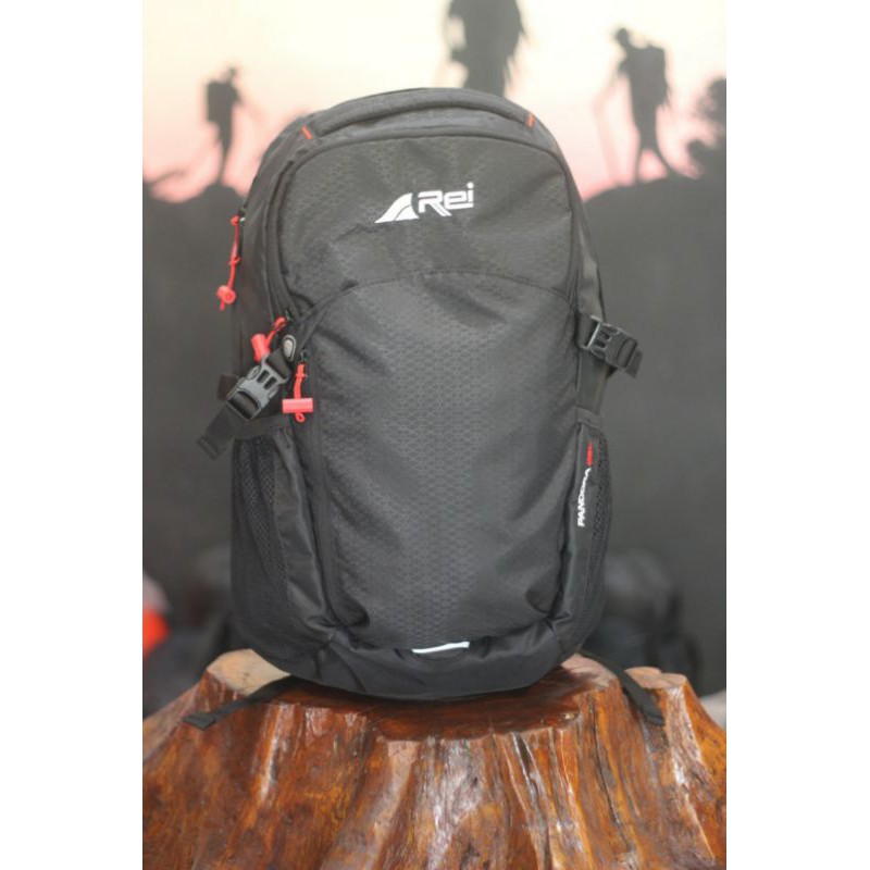 DAYPACK REI PANDORA 25L