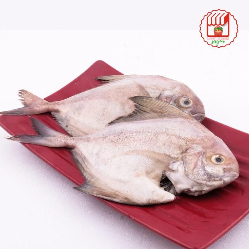 

ContainerSayur Ikan dorang segar 500gr
