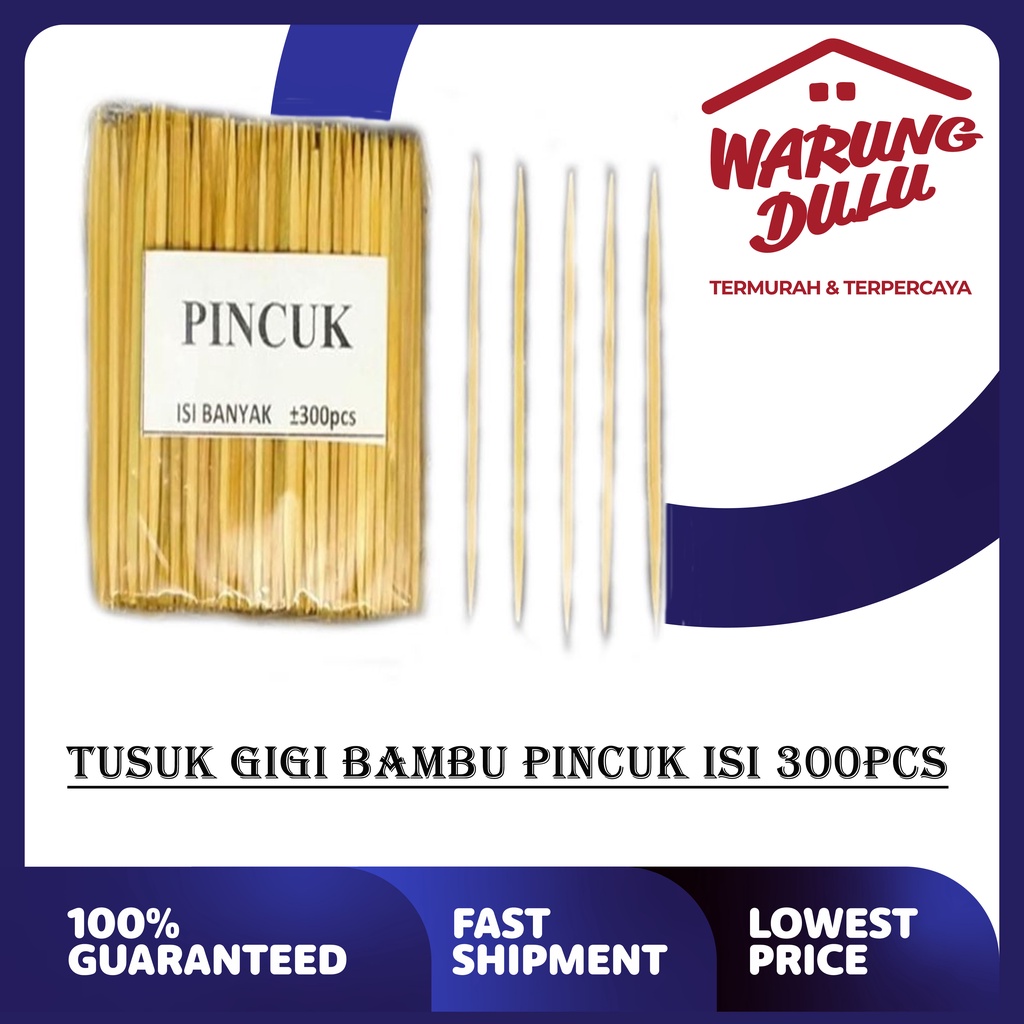 TUSUK GIGI BAMBU PINCUK ISI 300PCS