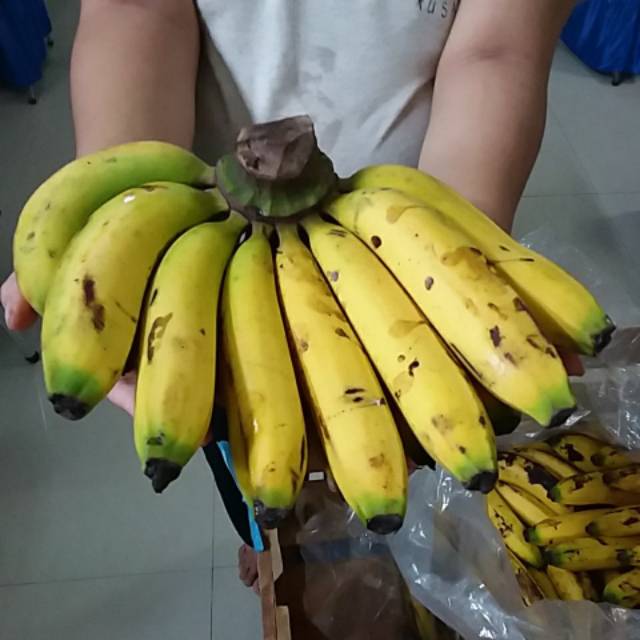 

Pisang Ambon Ganda Segar dan Sehat per Sisir Rp. 30.000