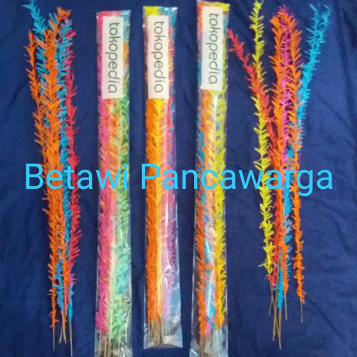 Manggar Kelapa / Akar Kelapa / Ondel-Ondel