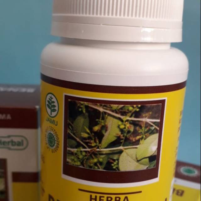 

HERBA BENALU TEH