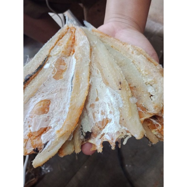 

bloso belah atau balur