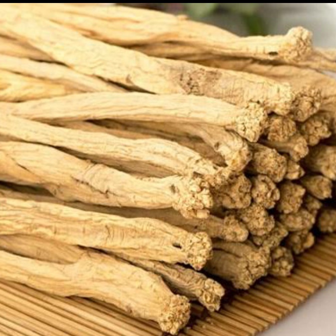 

SGS Tong Sem 党参 / Codonopsis