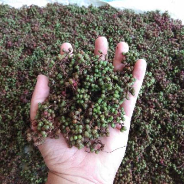 

andaliman khas batak 250gr, 500gr, 1kg