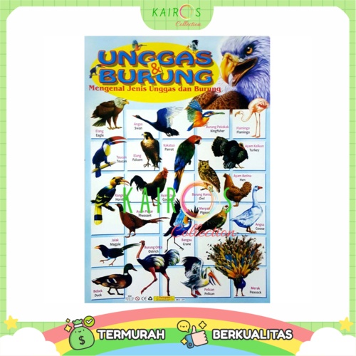 Poster Anak Belajar Binatang Aneka Burung