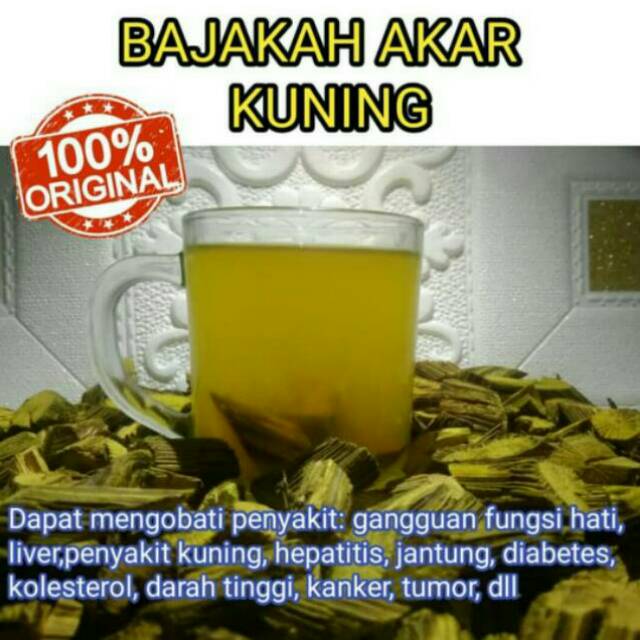 

AKAR BAJAKAH KUNING ASLI KALIMANTAN