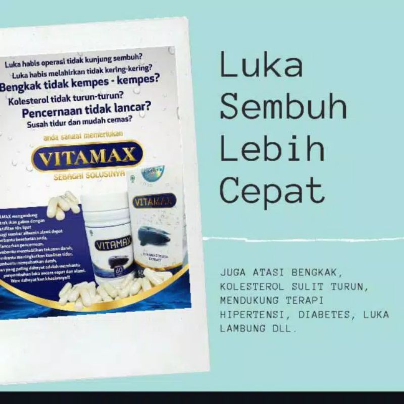 OBAT LUKA OPERASI VITAMAX KAPSUL EKSTRAK IKAN GABUS 60 kapsul