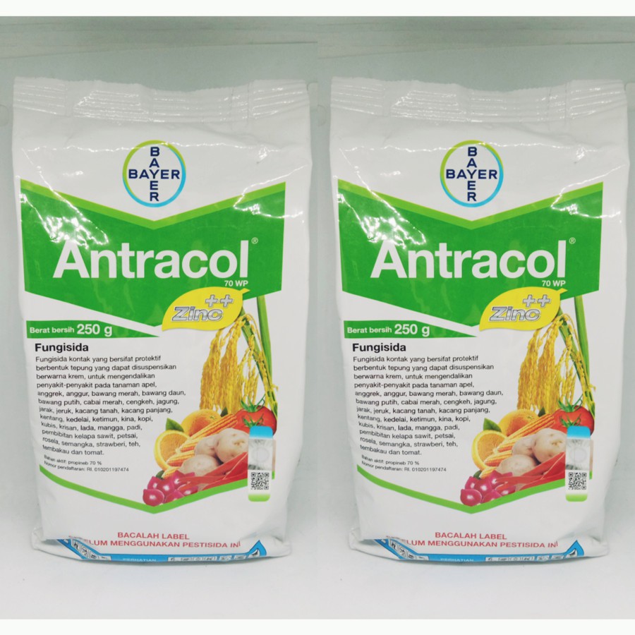 Fungisida Antracol 250gr