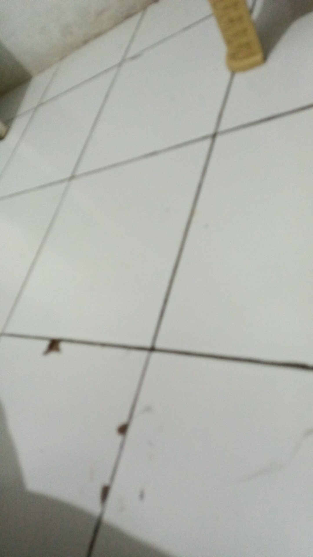 Gembok Murah Motif Bunga / Gembok Bunga