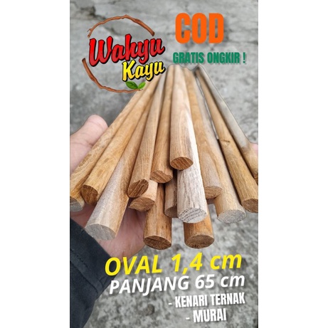 TANGKRINGAN / PANGKRINGAN OVAL MURAI 65 CM  KENARI TERNAK