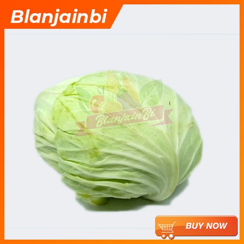 

Kol / Kubis Segar Bandung Area