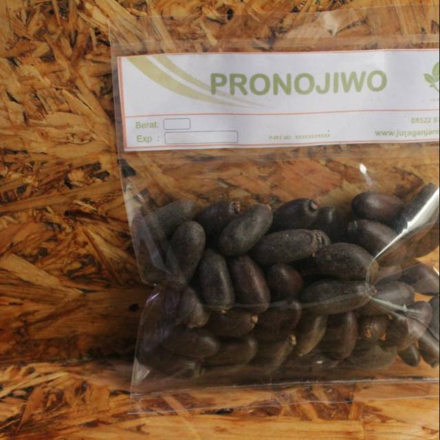 

Biji pranajiwa pronojiwo utuh