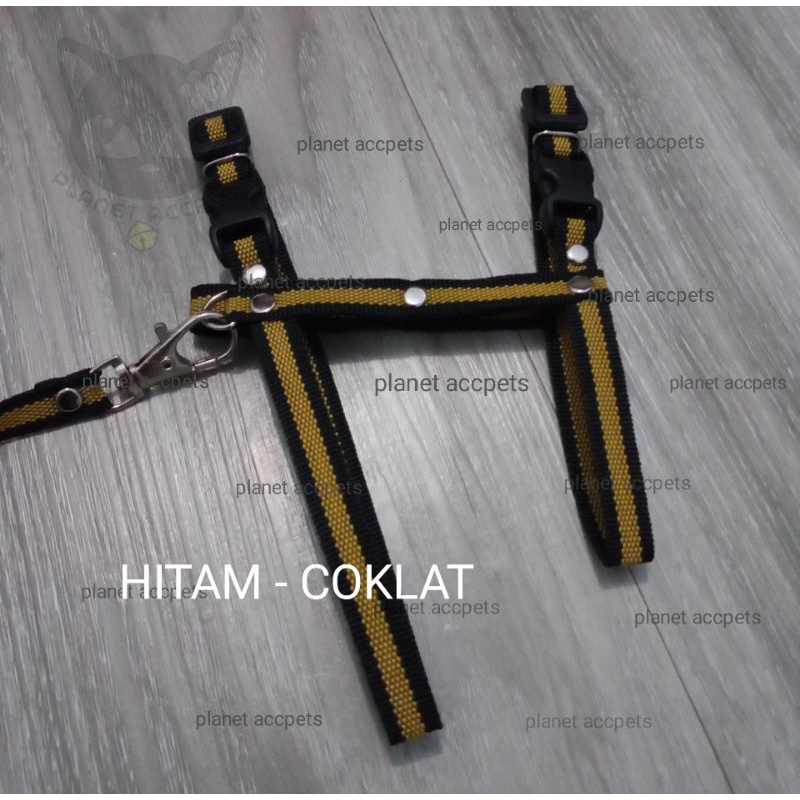 Harnes kucing musang kecil