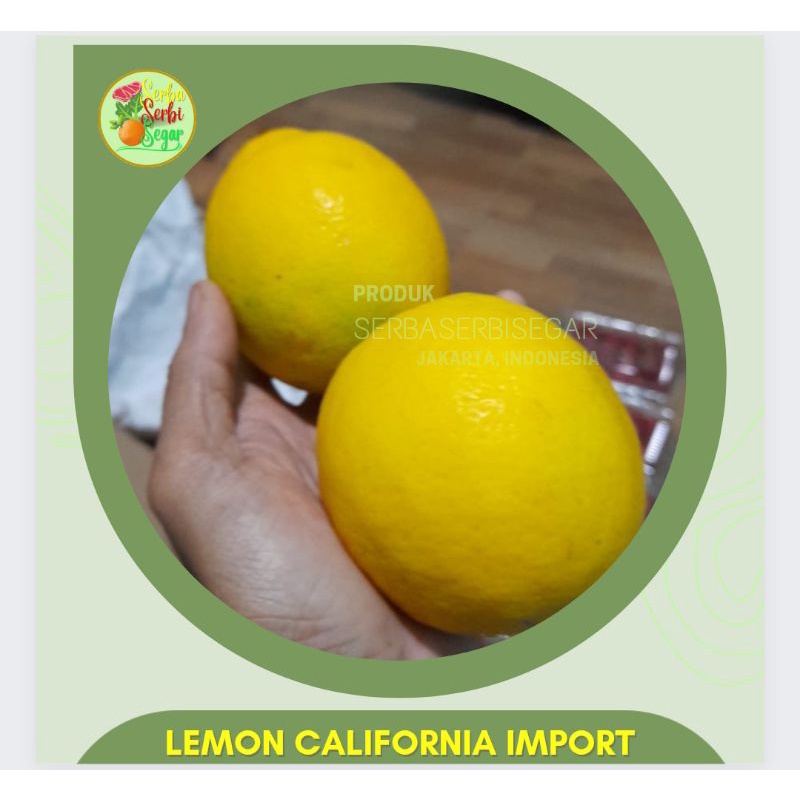 

JERUK LEMON CALIFORNIA IMPORT 1 KG