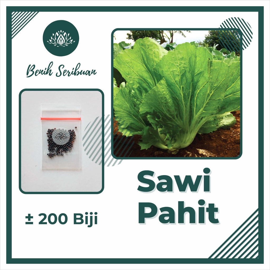 TERMURAH Bibit Sayuran Benih Sayur Paket Lengkap Tanaman Hidroponik Kangkung Bayam Cabe Sawi Unggul-SAWI PAHIT