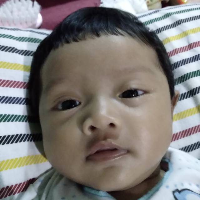 anditadetol