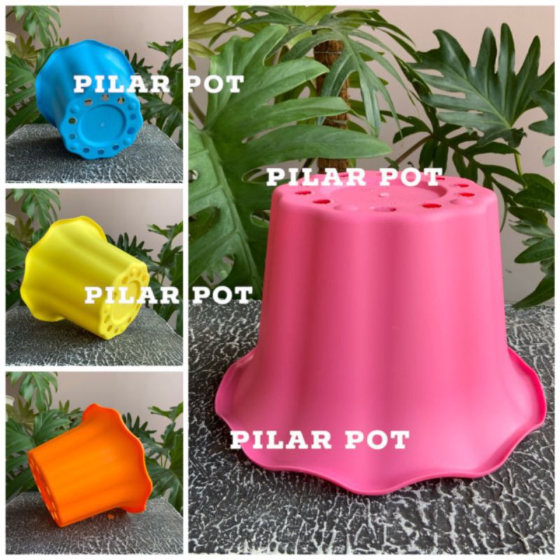 Pot bunga tanaman warna warni nkt sakura 20cm model mawar - nkt sakura