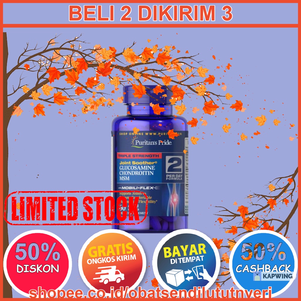 GLUCOSAMINE CHONDROITIN MSM • 60 Kaplet