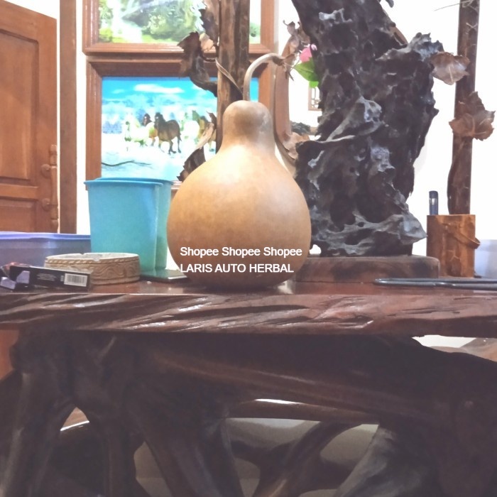 buah kukuk/labu botol/tempat air minum kesehatan