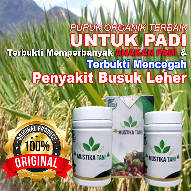 TERBAIK Pupuk MUSTIKA TANI Untuk Padi BISA COD Pupuk Cair Padi Mustika Tani Padi - pupuk penyubur ta