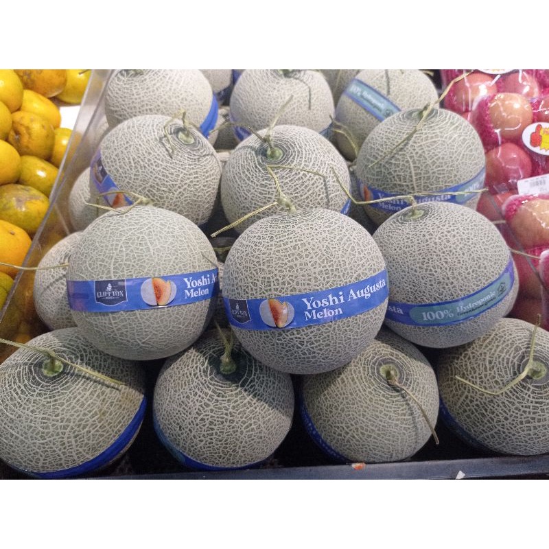 

Melon yoshi Augusta hydroponik manis / pics