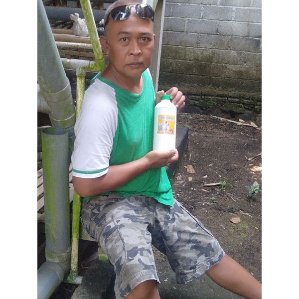 Asam Amino Dosis Tinggi untuk Ternak