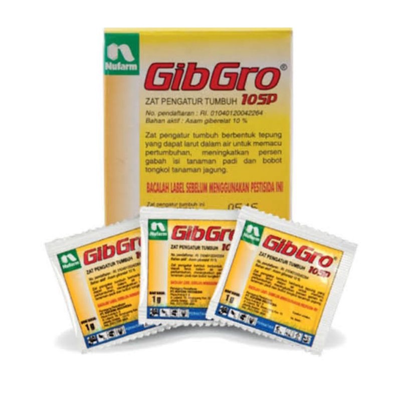 Gibgro odot gibgro 10 sp