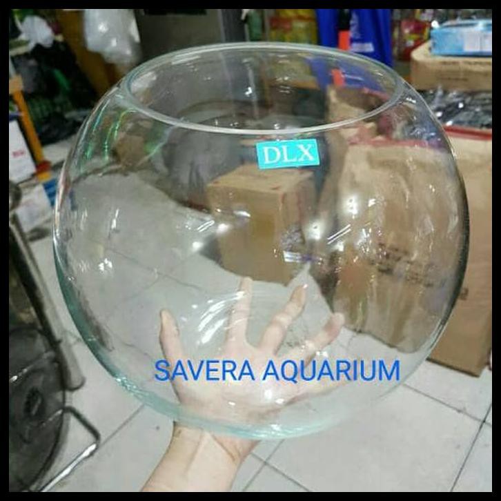 Ikan Yang Cocok Untuk Aquarium Bulat Pintar Mencocokan